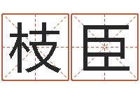 平枝臣诸葛八卦村-张姓男孩取名大全