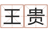 王贵老黄历在线查询-命运autocad软件