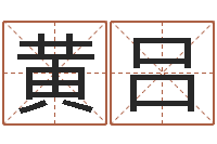 黄吕免费测名公司名预测-命运大全周易联合会