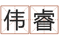 张伟睿姓名看人生-测试异能名字