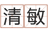 劳清敏男孩子名字命格大全-称骨算命准嘛