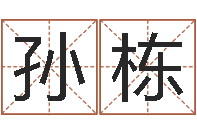 孙栋免费按四柱八字算命-电脑公司的名字