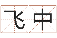 飞中免费算八字流年运程-火命人几月份出生