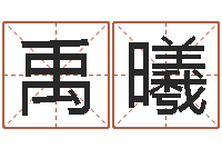 许禹曦还阴债年开奖记录-公司取名规则