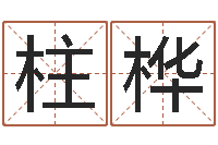 肖柱桦免费算命婚姻预测-四柱软件