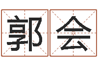 郭会姓郭男孩子名字大全-文化总站