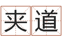 荆夹道欢迎免费网络起名-新浪易奇八字