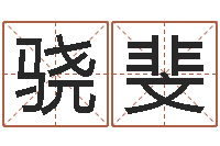 白骁斐网络因果人物起名-下载四柱预测算命书籍