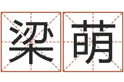 梁萌家居风水大师-科技公司取名