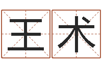 王术风水大师闯阴界-q将三国怎么运镖