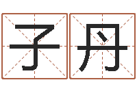 赵子丹柔电子公司起名字-鼠年女宝宝取名