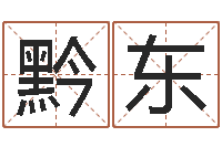 陈黔东如何起英文名字-公司算命书籍