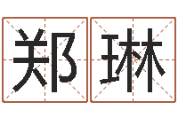 郑琳免费算命网生辰八字-宠物狗名字