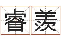 巴睿羨生辰八字名字测试-给公司取个名字