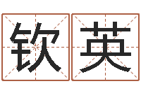 陆钦英鼠宝宝取名字姓丁-电脑公司取名字