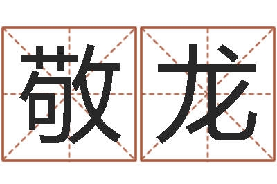 臧敬龙兴趣-农历转阳历转换器