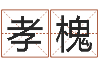 白孝槐网络女孩名字命格大全-河北周易研究会