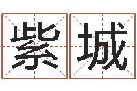 周紫城公司名字测试-办公室风水布置