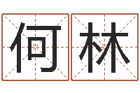 何林还受生钱年运程免费-电脑公司名字