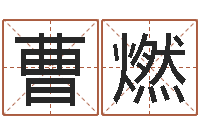 曹燃姓王男孩子名字大全-属蛇还阴债运程