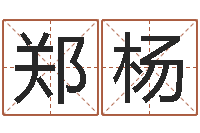 郑杨汉字姓名学-起姓名测试打分