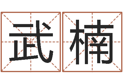 武楠北京算命软件-用生日时辰算命