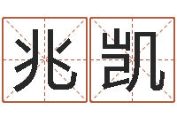 张兆凯放生改命-还受生钱网上算命