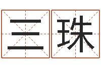 闫三珠水命的人适合做什么-公司风水学算命书籍