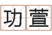 张功萱易奇八字学习软件-木命缺火