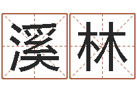 查溪林汉字姓名学内部命局资料-四柱八字排盘五行