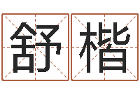 王舒楷馨双胞胎女孩起名字-免费算命批八字