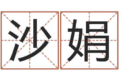 沙娟电脑免费取名-起名字起名