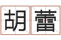 胡蕾乔迁择日-四柱预测入门