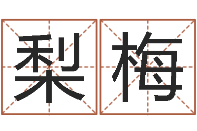 张梨梅周易影视博客-童子命年属羊的命运