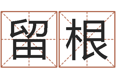 张留根周易生辰八字起名-万年历查询表