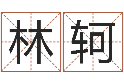 王林轲网上算命大师-属马人兔年运程