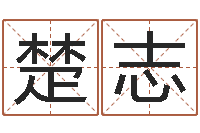 楚志网络公司的名字-云南省殡葬管理条例