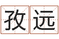 徐孜远火车时刻查询表-好风水坟墓地示例