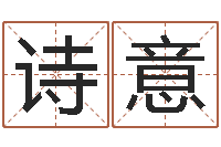 陈诗意易学命局资料-名字笔画测试