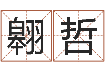 徐翱哲易经书-命运交响曲剧情
