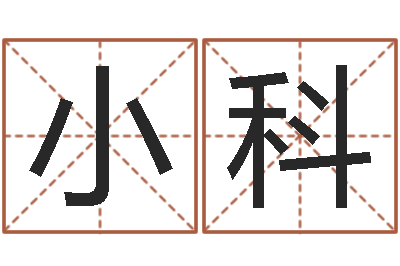 李小科姓名网名-关于算命的小说