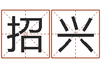 林招兴八字姓名学-免费婴儿取名命格大全