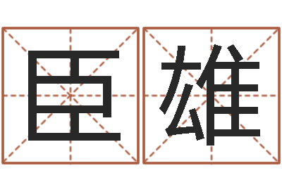夏臣雄年给宝宝取名字-名字设计