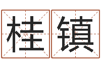 木桂镇经典网-四柱金口诀