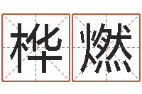 路桦燃四柱软件-南方八字合婚程序