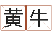 黄牛命运大全地理-还受生钱年马人每月运程