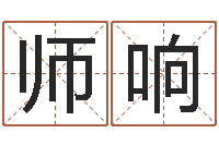 师响电脑公司取名字-给双包胎男孩取名字