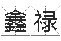 赵鑫禄半仙算命软件-正宗笔画输入法下载