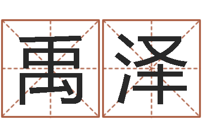 何禹泽学习风水的书-名人的生辰八字