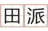 田派子平命理教学视频-策名打分